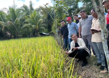 Dari Infrastruktur hingga Pendidikan, Kinerja Edi Purwanto Sentuh Kehidupan Warga Jambi