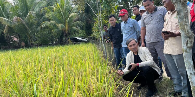 Dari Infrastruktur hingga Pendidikan, Kinerja Edi Purwanto Sentuh Kehidupan Warga Jambi