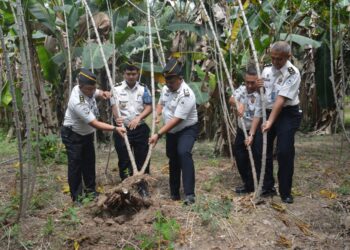 Lapas Narkotika Muara Sabak Gelar Panen Raya, Dukung Ketahanan Pangan Nasional