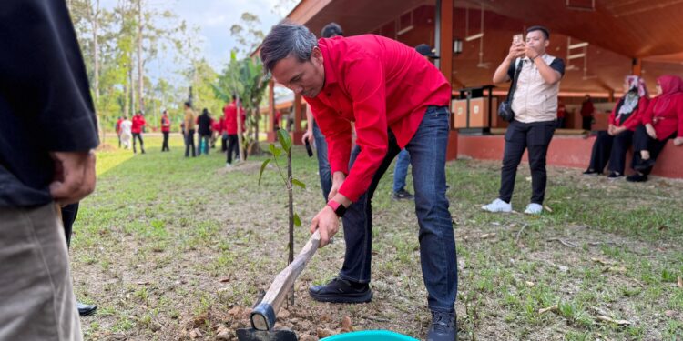 PDI Perjuangan Jambi Tanam Pohon di Kawasan Cagar Budaya Muaro Jambi Peringati HUT ke-79 Megawati